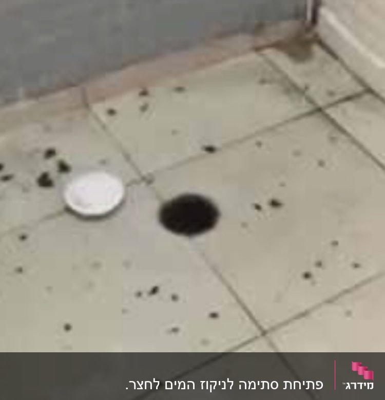רצפת חדר אמבטיה עם פתח ניקוז פתוח